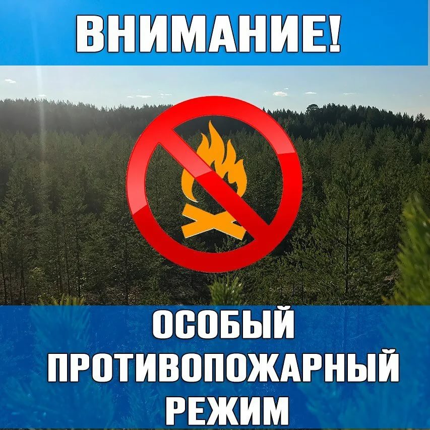 Внимание особый противопожарный режим картинка